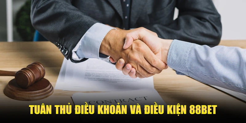 Tuan thu dieu khoan va dieu kien 88bet